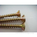 CSK head Chipboard Screw